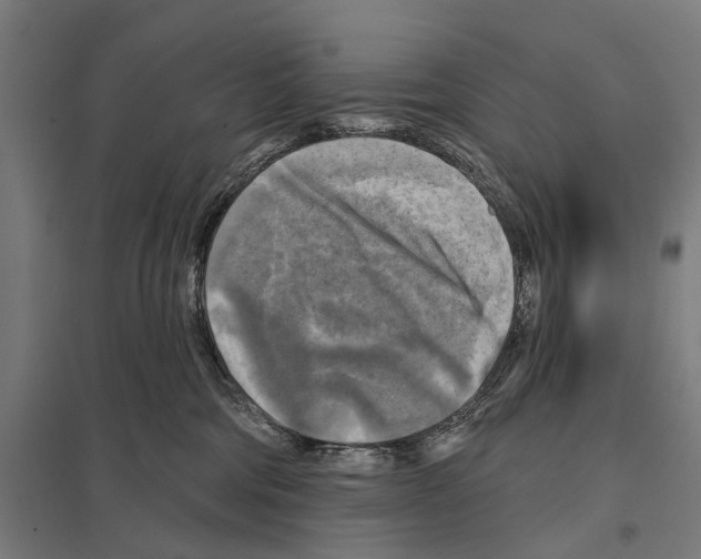 X0000097610330200803281019