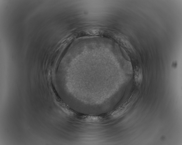 X0000097610332200803281019