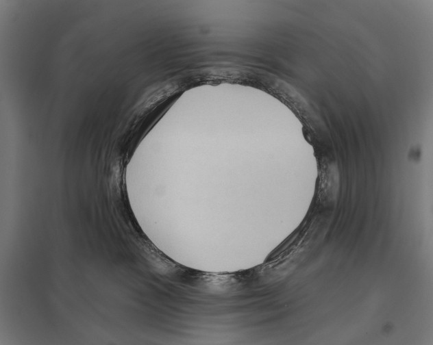 X0000097610333200803281019