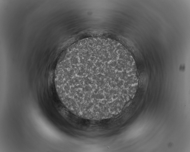 X0000097610335200803281019