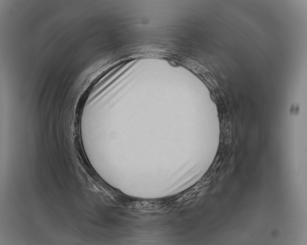 X0000097610338200803281018