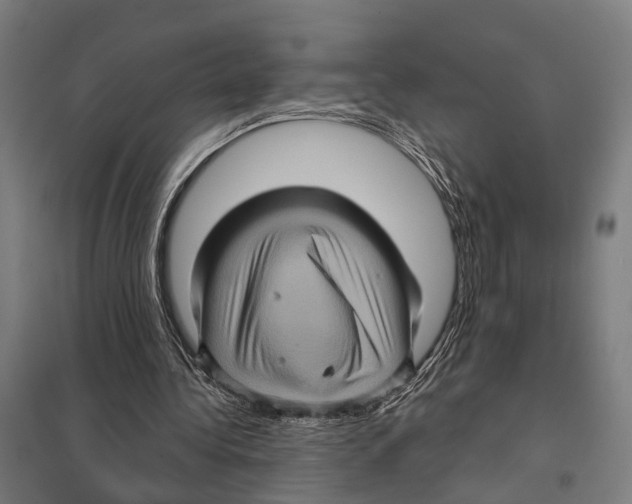 X0000097610340200803281018