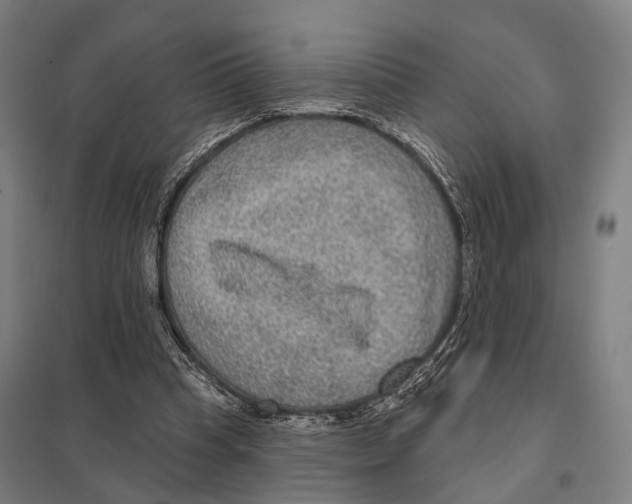 X0000097610345200803281018