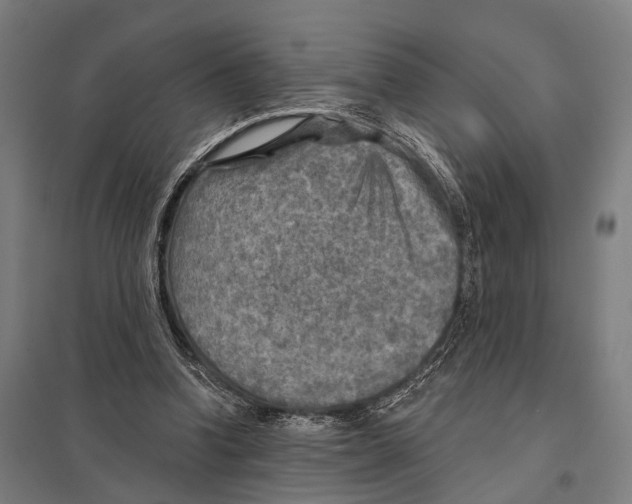 X0000097610346200803281018