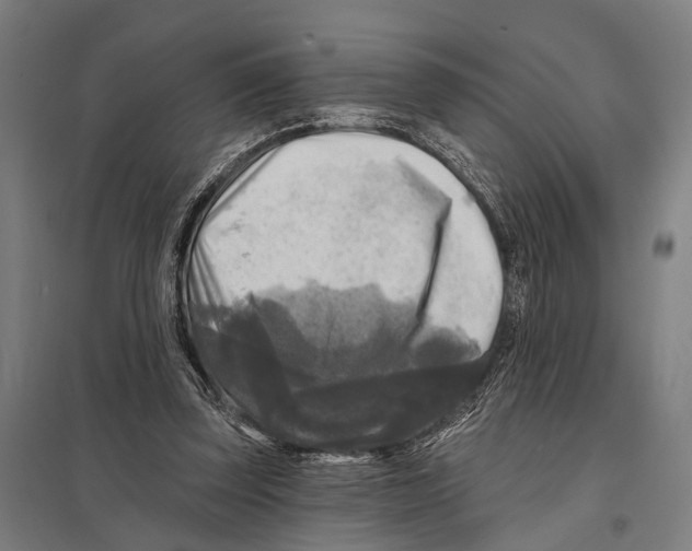 X0000097610347200803281018