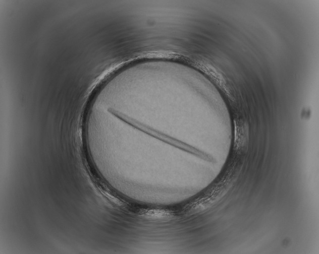 X0000097610348200803281018