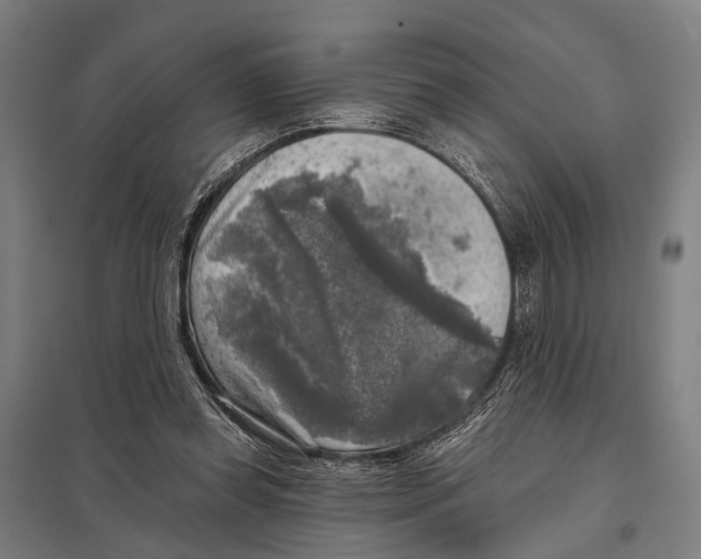 X0000097610349200803281019