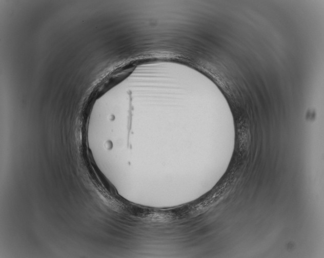 X0000097610350200803281019