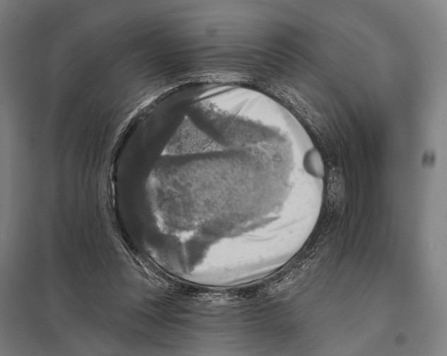 X0000097610351200803281019