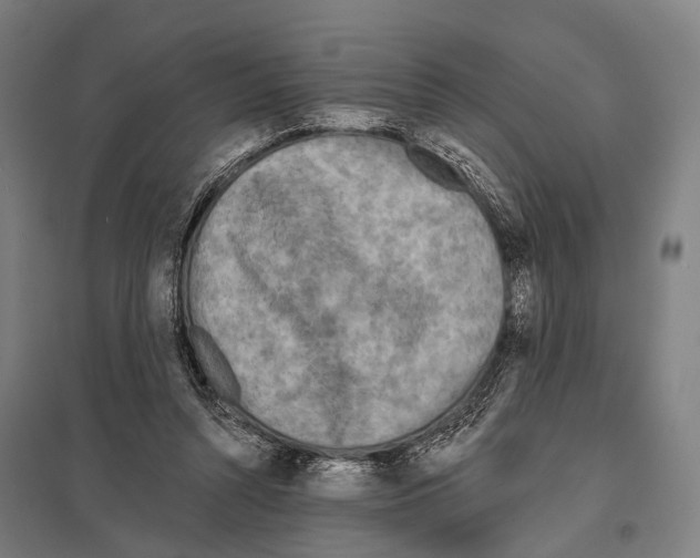 X0000097610352200803281019