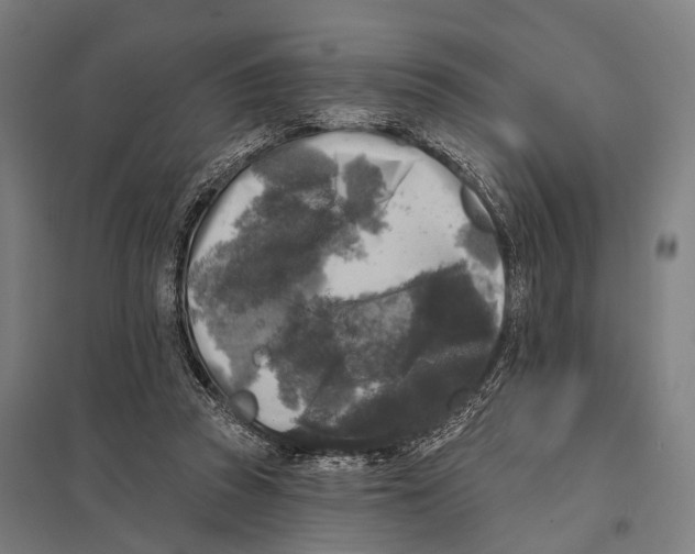 X0000097610353200803281019