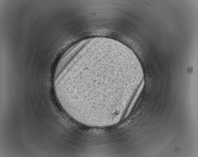 X0000097610354200803281019