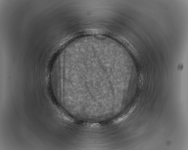 X0000097610355200803281019