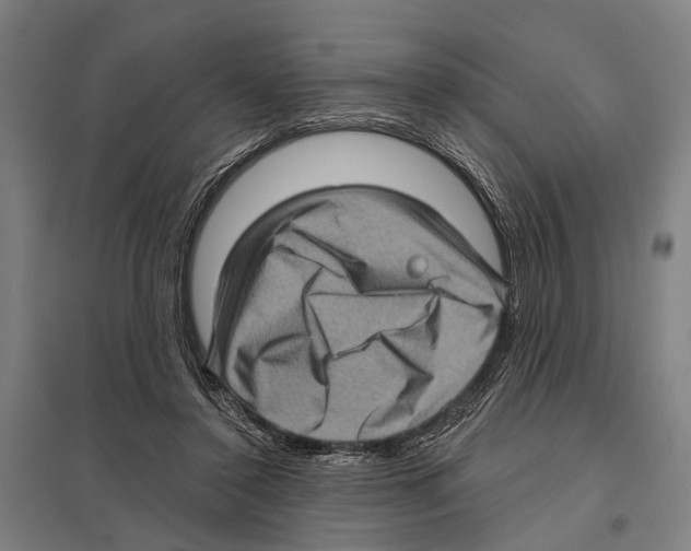 X0000097610356200803281019