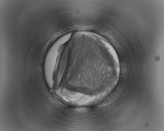 X0000097610357200803281019