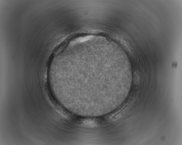 X0000097610358200803281019