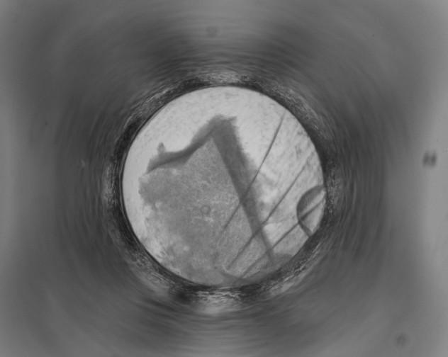 X0000097610359200803281019