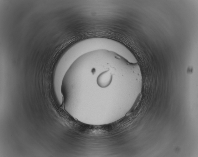 X0000097610360200803281019