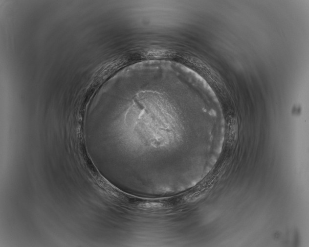 X0000097610361200803281019