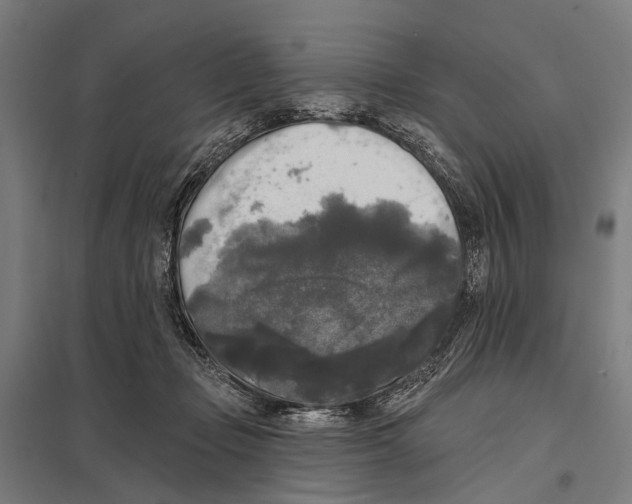 X0000097610365200803281019