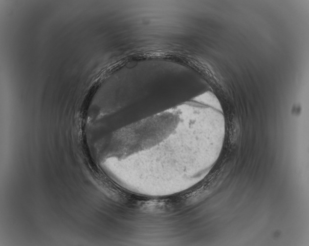 X0000097610366200803281019