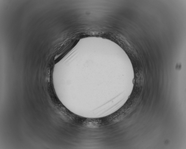 X0000097610368200803281019