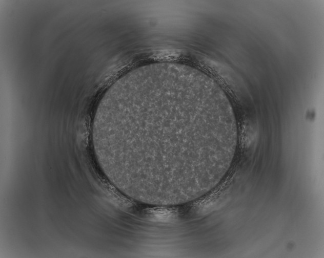 X0000097610370200803281019