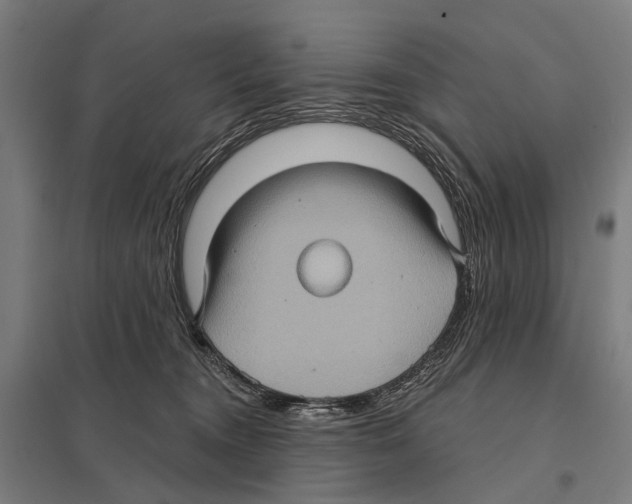 X0000097610372200803281019