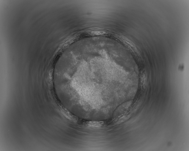 X0000097610373200803281019