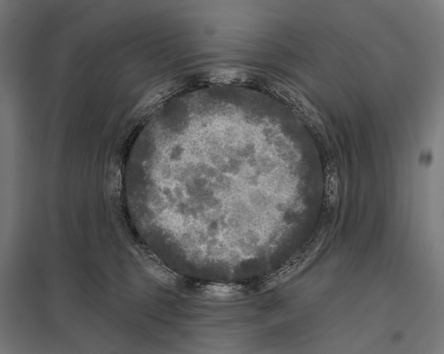 X0000097610375200803281019