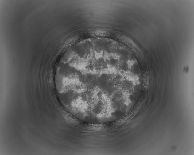 X0000097610377200803281019