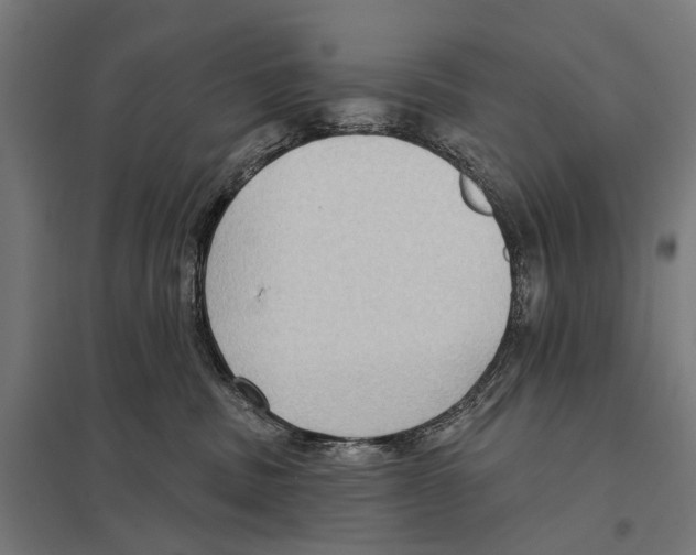 X0000097610379200803281019