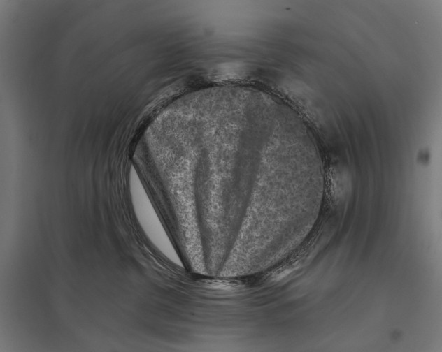 X0000097610380200803281019