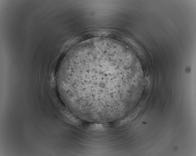 X0000097610381200803281019