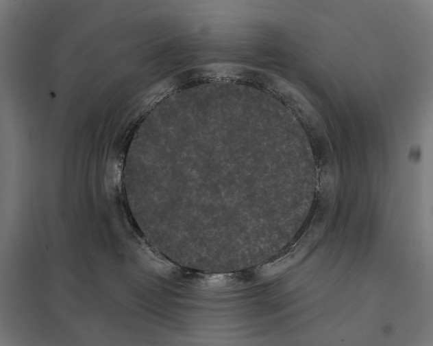 X0000097610382200803281019