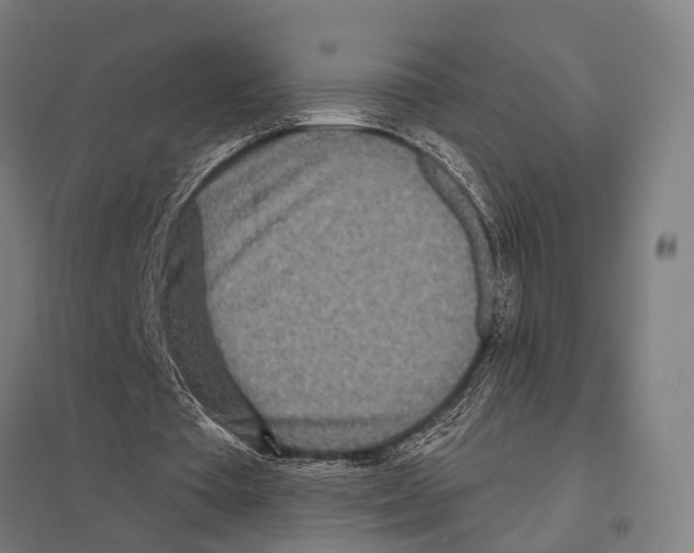 X0000097610385200803281018