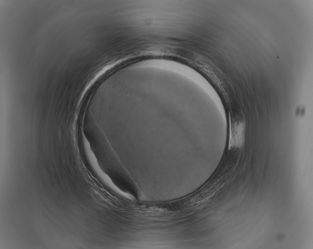 X0000097610387200803281018