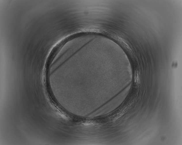 X0000097610388200803281018