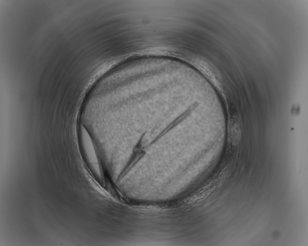 X0000097610389200803281018