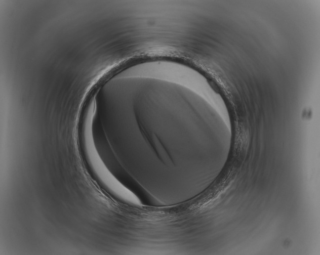 X0000097610391200803281018