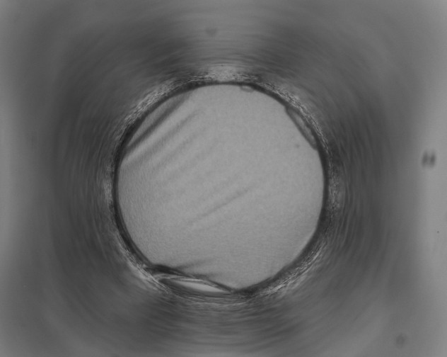 X0000097610393200803281018