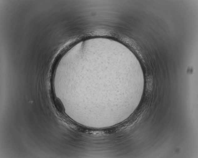 X0000097610395200803281018