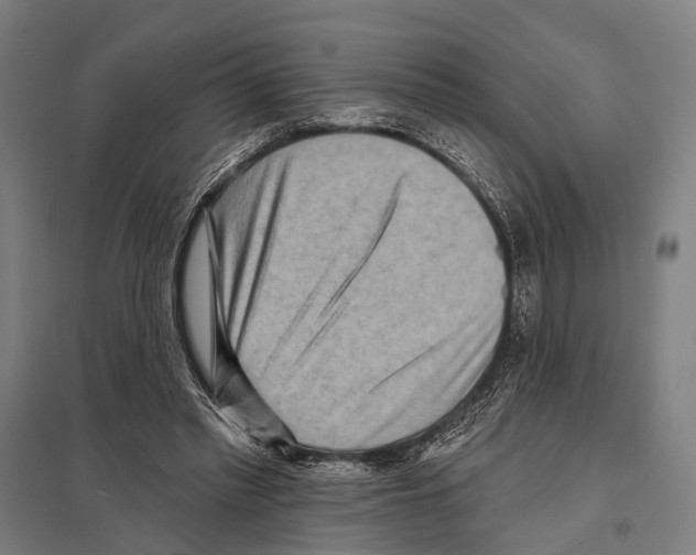 X0000097610397200803281018