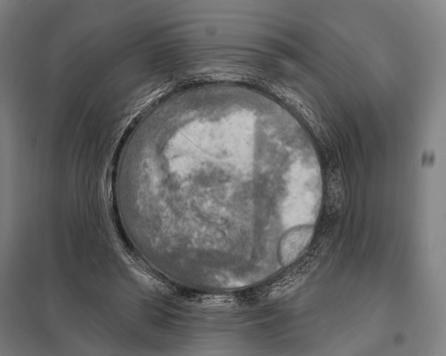 X0000097610398200803281018