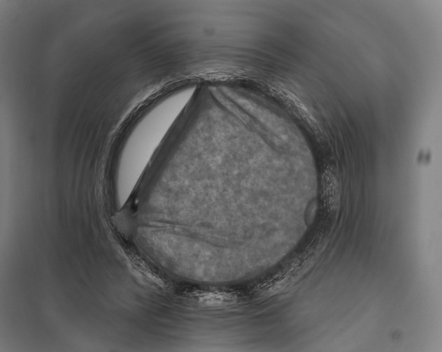 X0000097610400200803281018