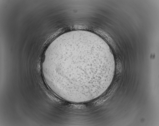 X0000097610401200803281018