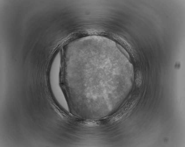 X0000097610405200803281018