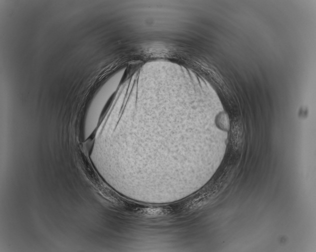 X0000097610406200803281018