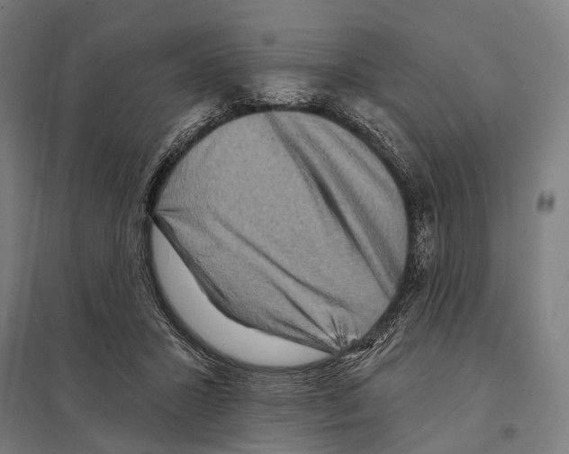 X0000097610407200803281018