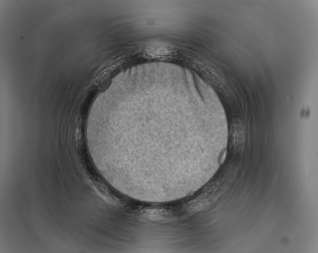 X0000097610408200803281018